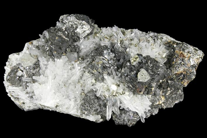 Pyrite, Chalcopyrite, Sphalerite and Quartz Association - Peru #95958
